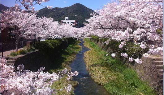 一の坂川